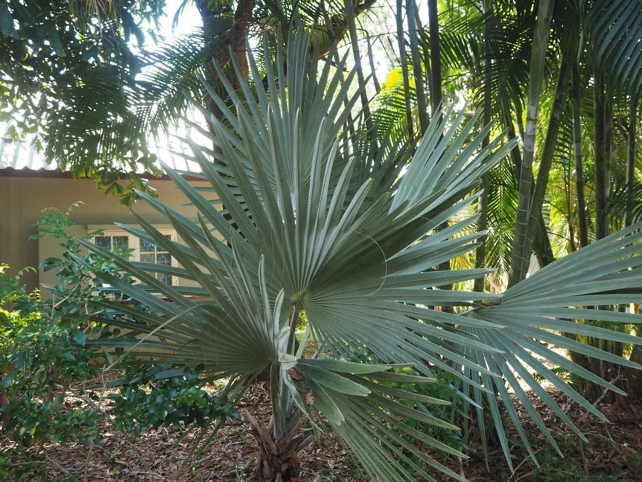 Отель Coconut Bungalow Nai Yang